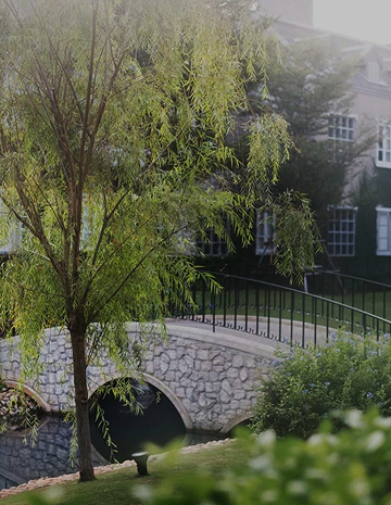 The Top Five Seed Starting Mistakes and